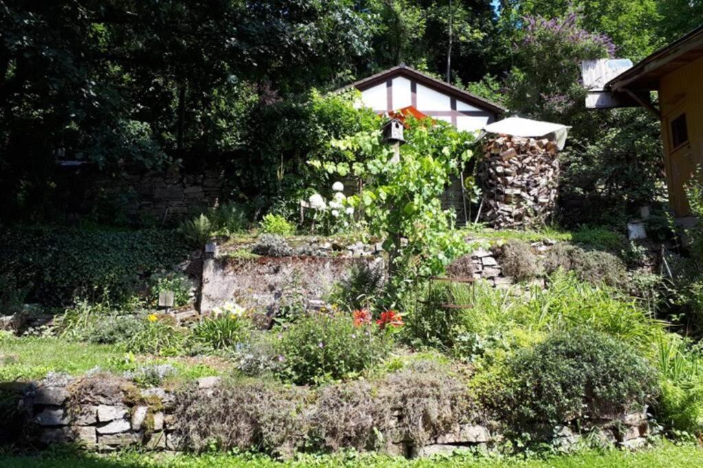 Eine Gemuetliche Ferienwohnung Mit Garten Bad Karlshafen Exteriér fotografie