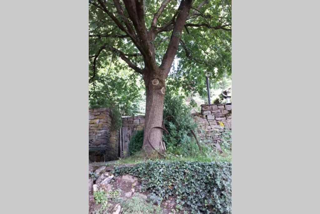 Eine Gemuetliche Ferienwohnung Mit Garten Bad Karlshafen Exteriér fotografie