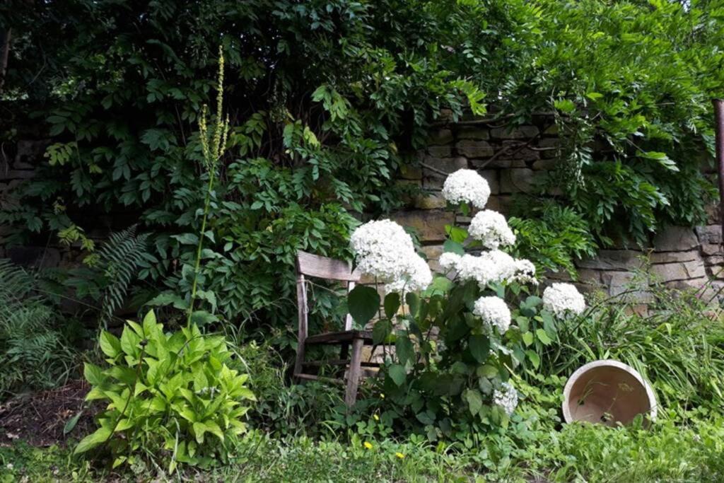 Eine Gemuetliche Ferienwohnung Mit Garten Bad Karlshafen Exteriér fotografie